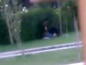 Clignotant Linda vid ...