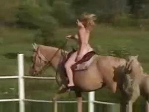 Deux putain de bite  ...